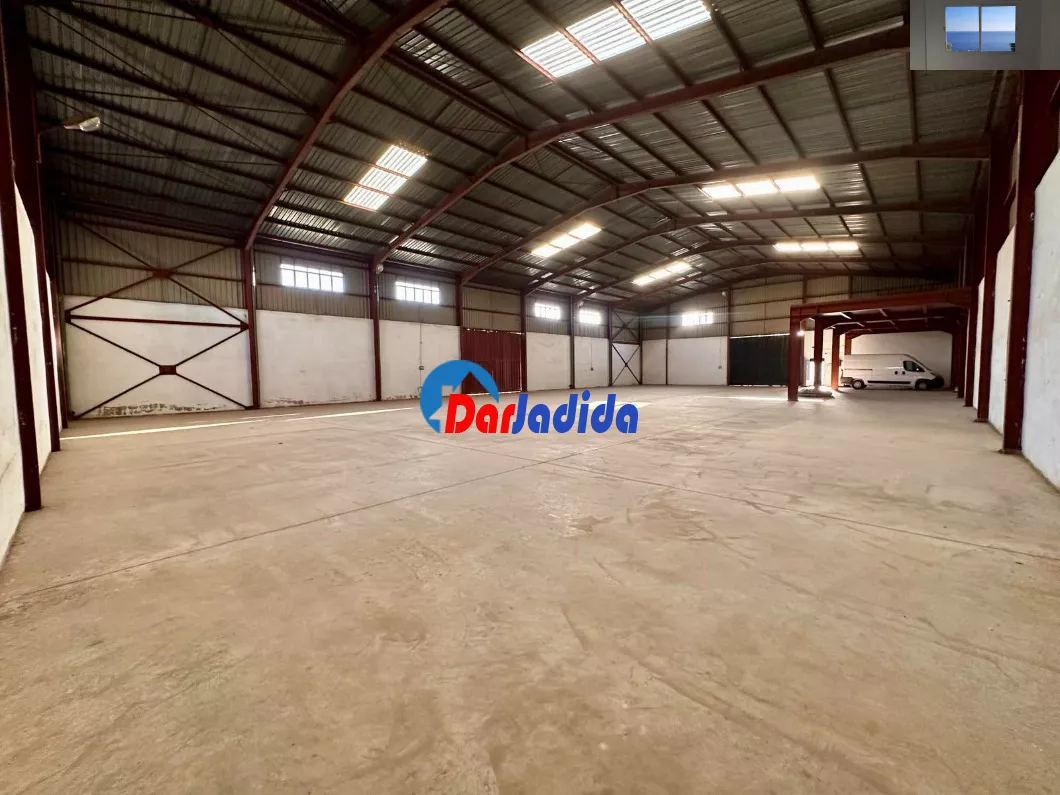 Location Hangar Blida