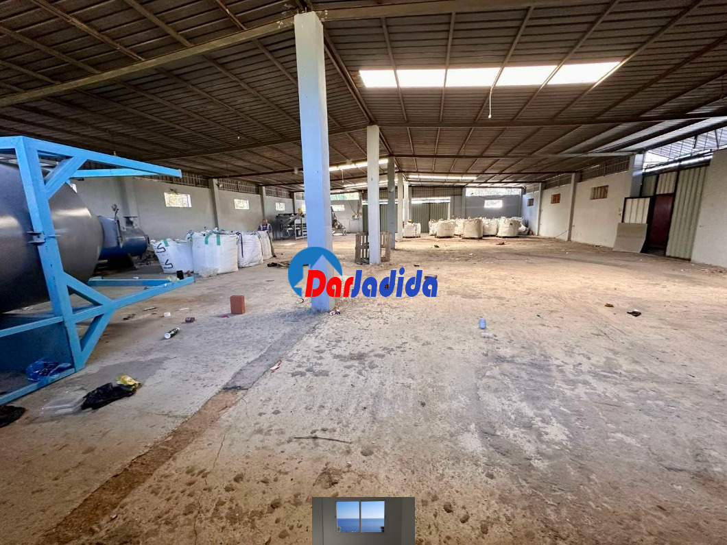 Location Hangar  Blida