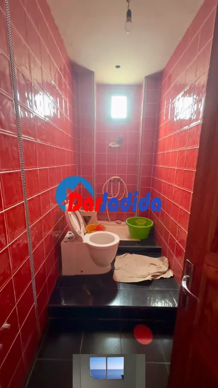 Location Hangar Blida