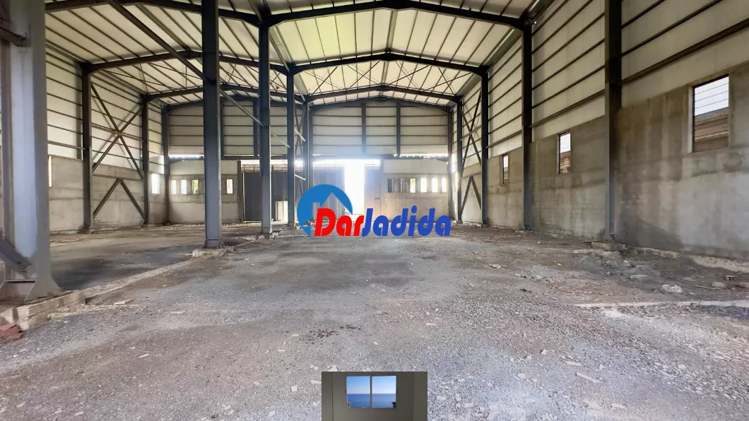 Location Hangar Blida
