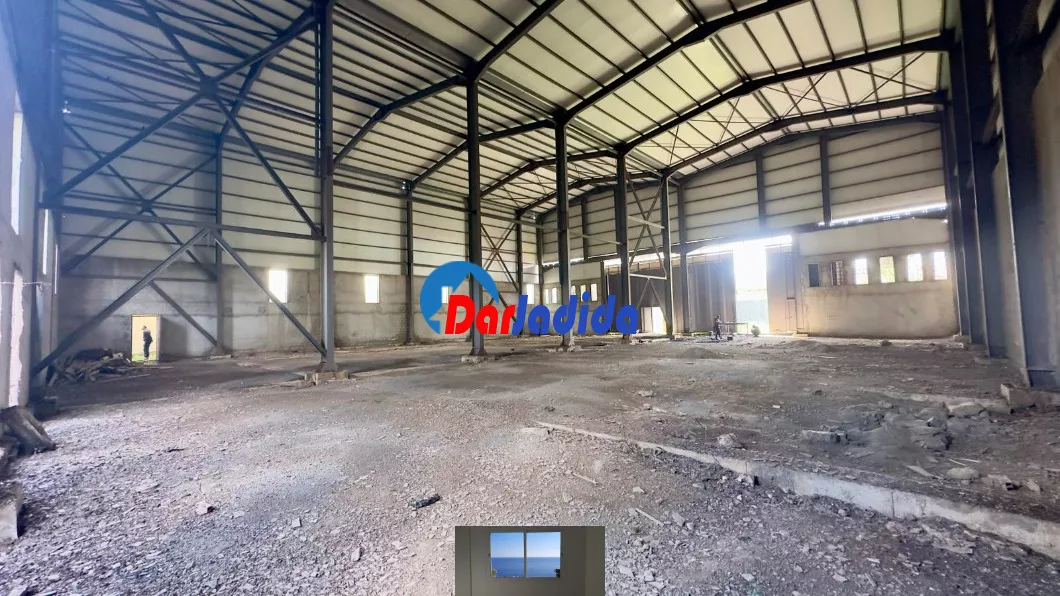 Location Hangar Blida