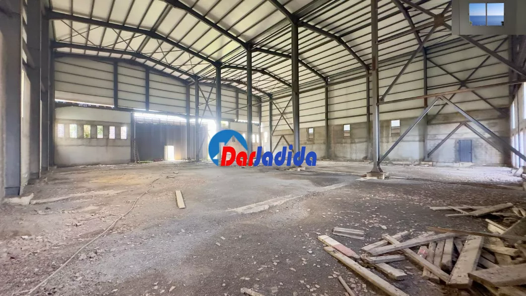 Location Hangar Blida