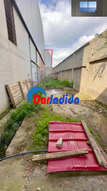 Location Hangar Blida