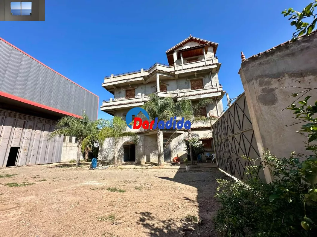 Location Hangar Blida