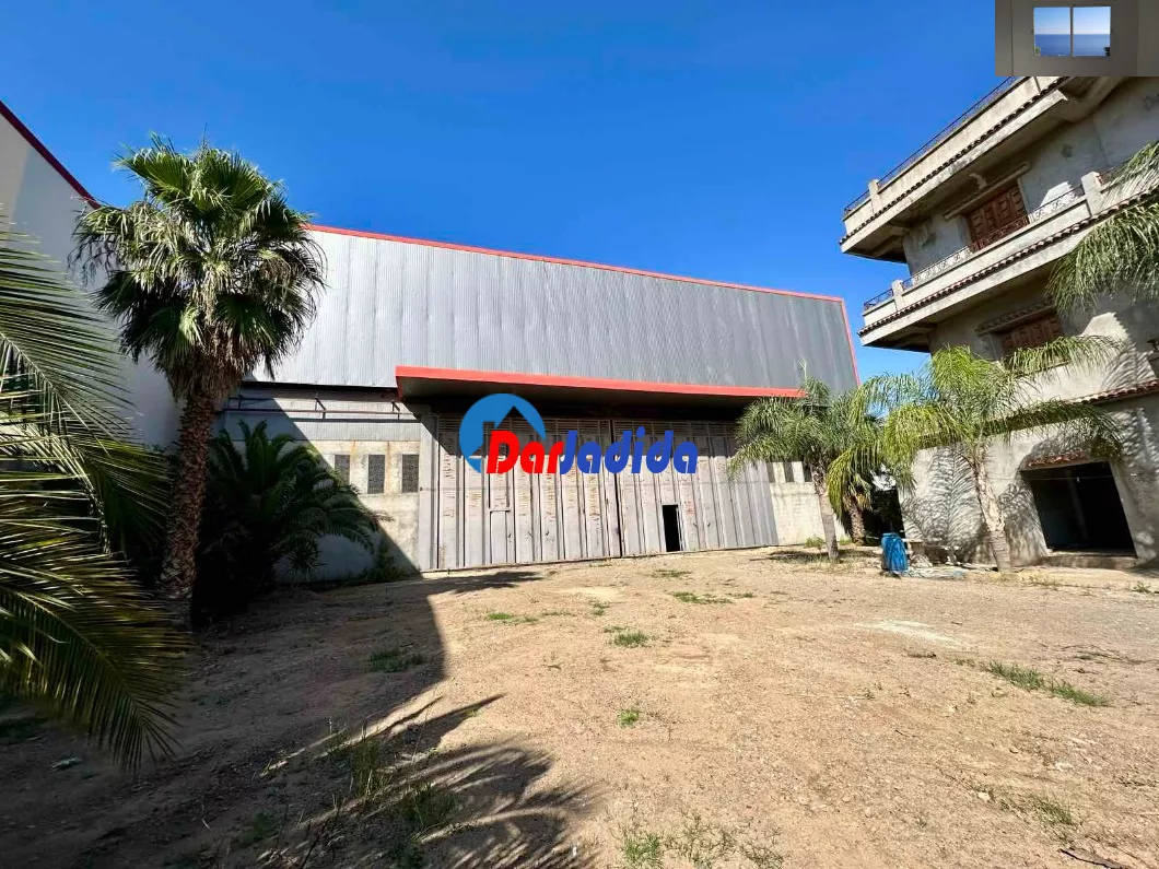 Location Hangar Blida