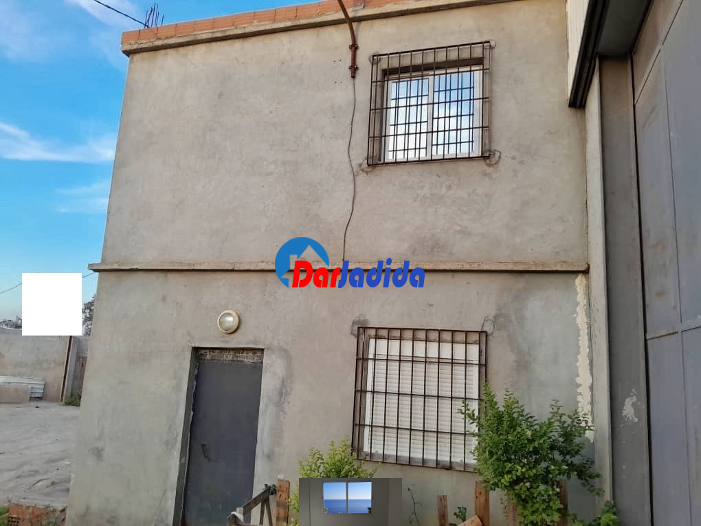 Location Hangar  Blida