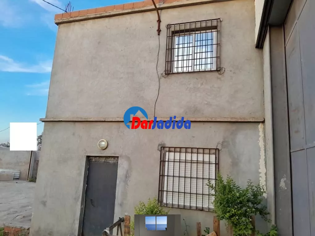 Location Hangar Blida