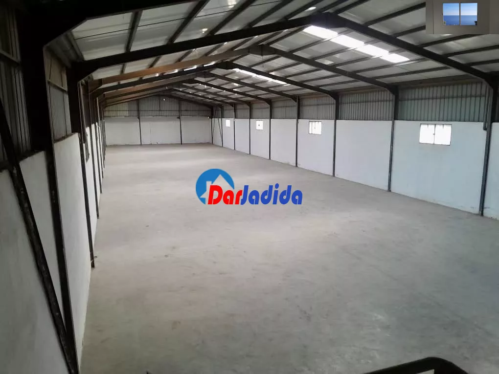 Location Hangar Blida