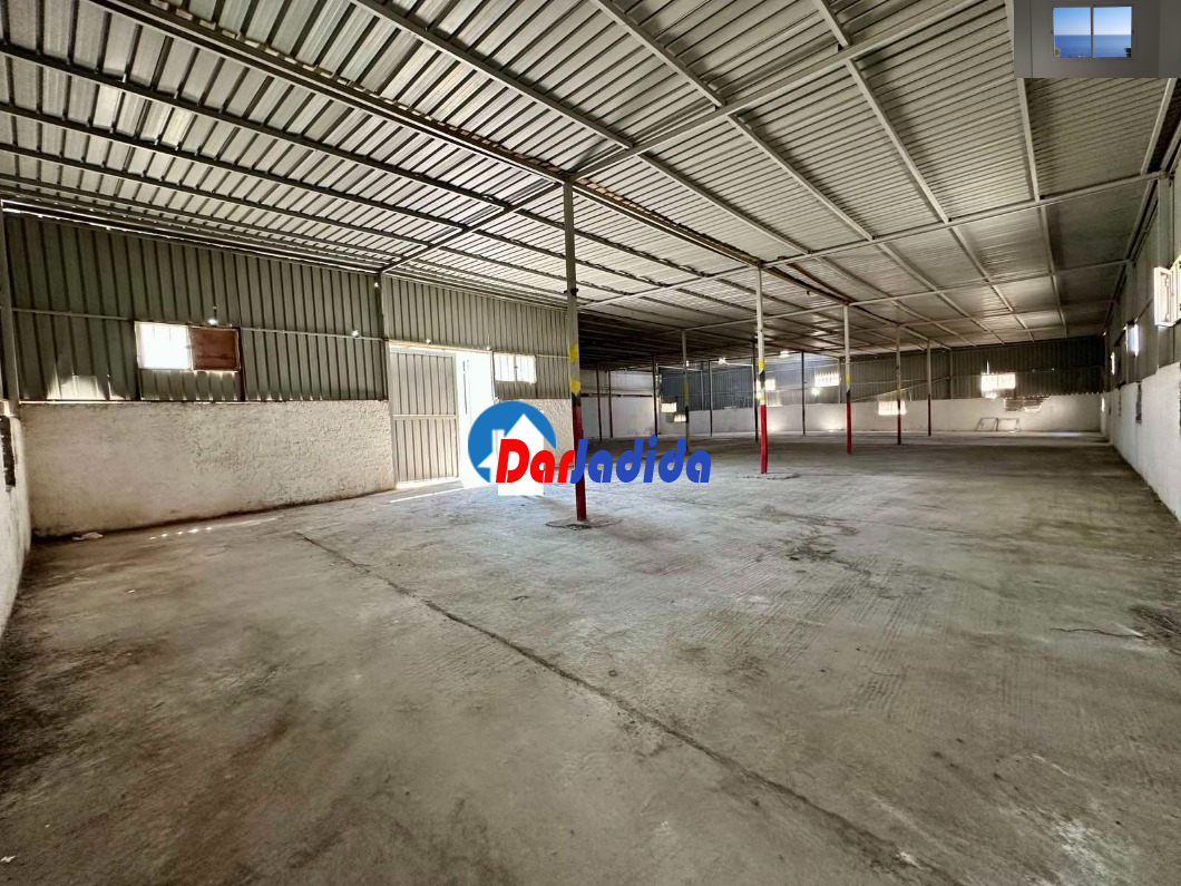 Location Hangar  Blida