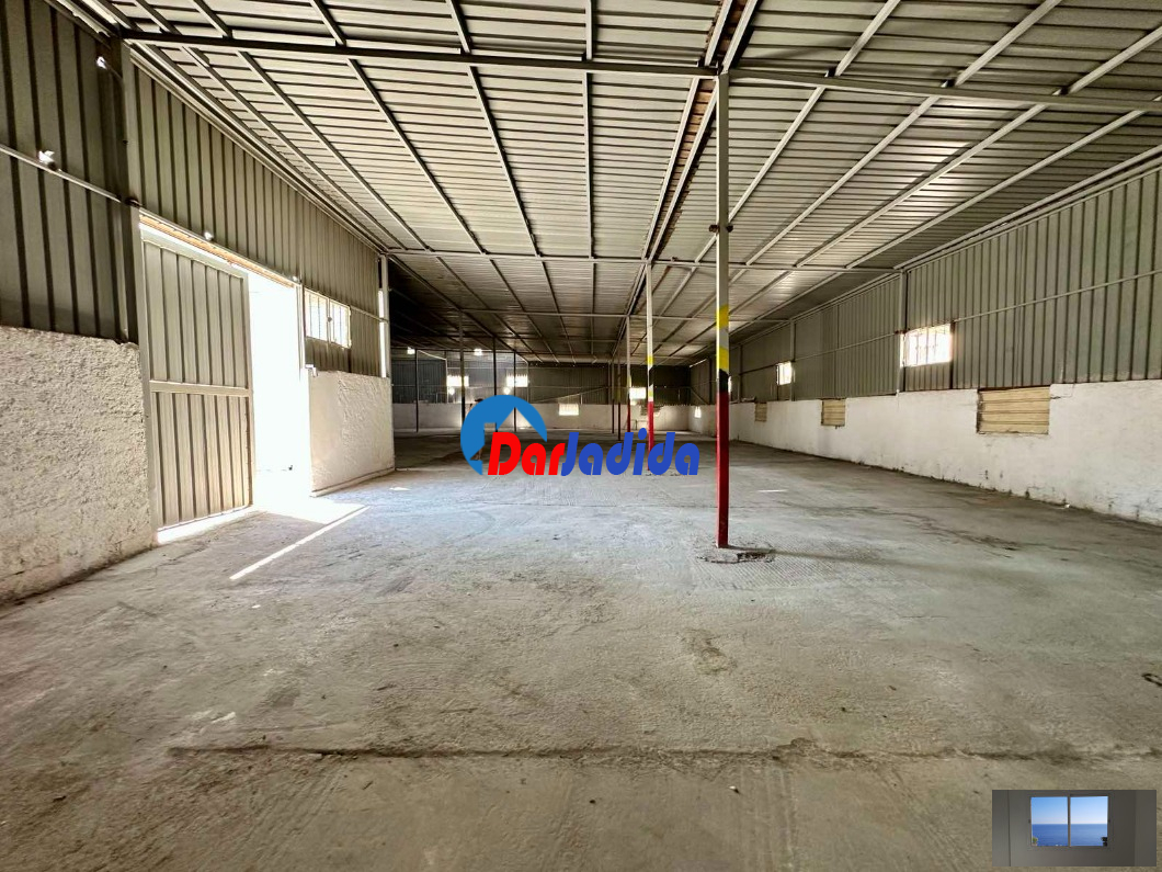 Location Hangar  Blida