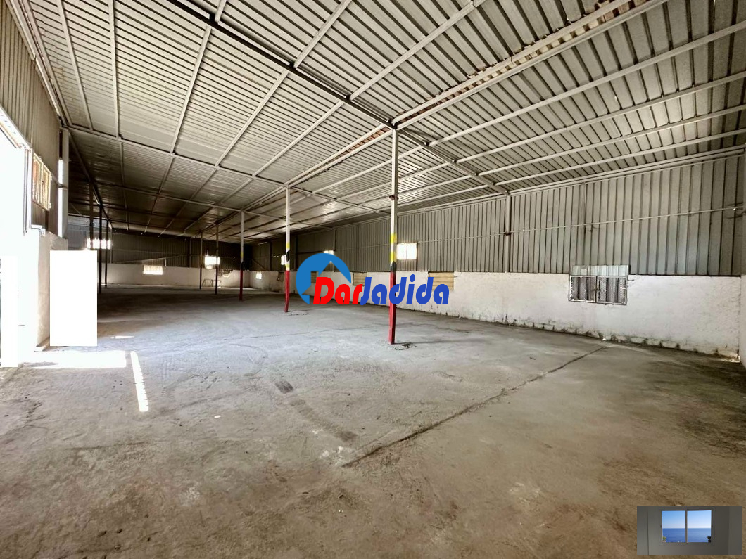 Location Hangar  Blida