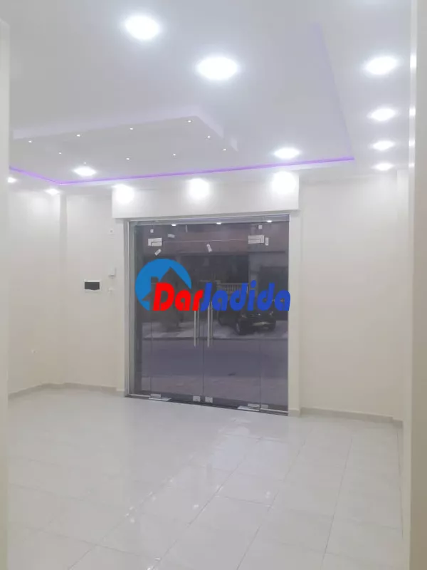 Location Local  Sidi-belabbes