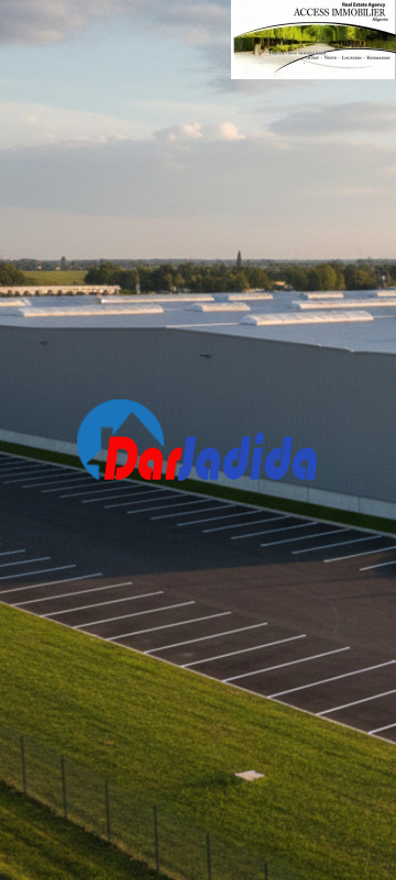 Location Hangar  Blida