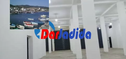 Location Local Alger