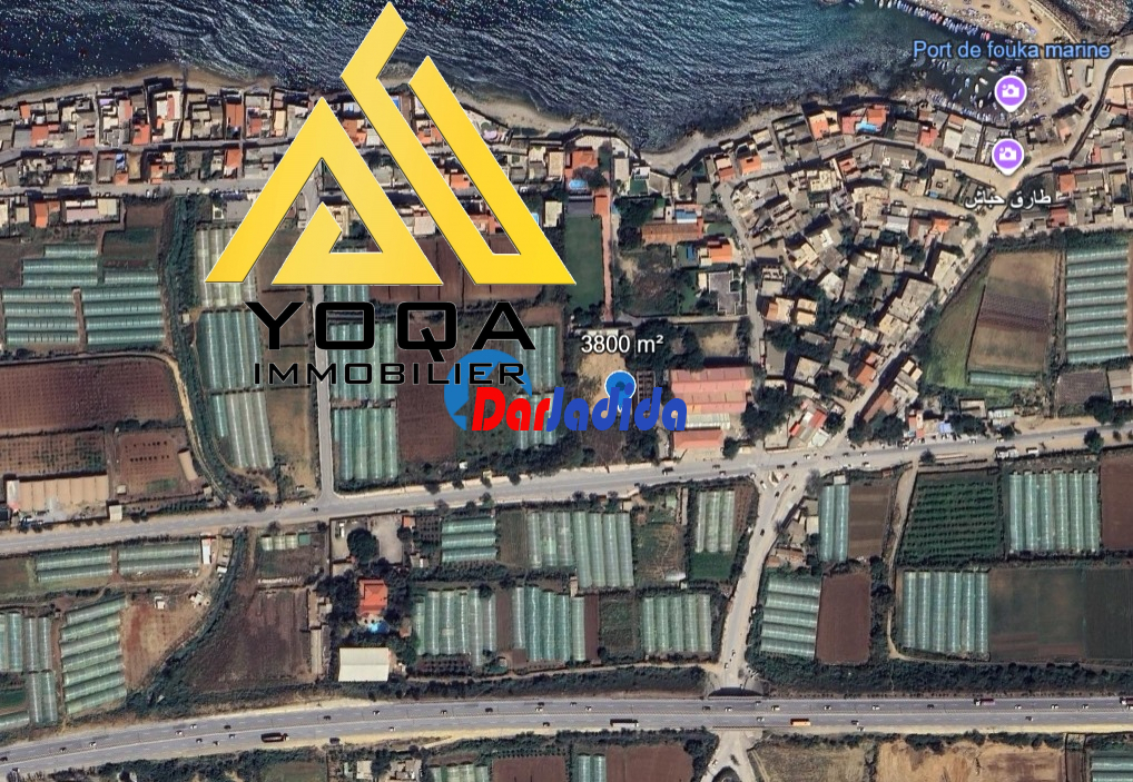 Vente Terrain  Tipaza