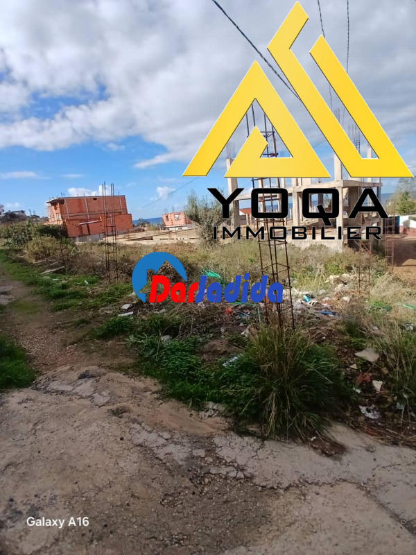 Vente Terrain  Tipaza
