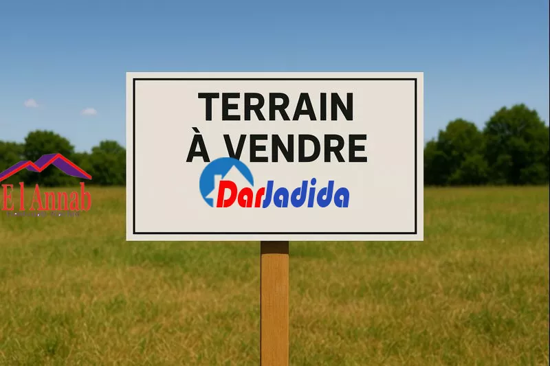 Vente Terrain Annaba