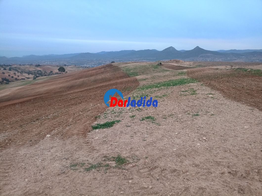 Vente Terrain  Bouira