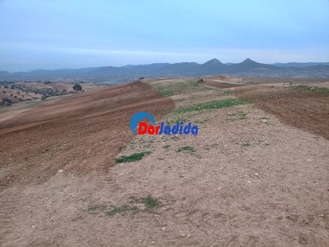 Vente Terrain  Bouira