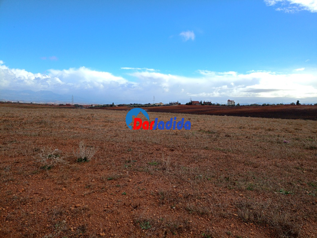 Vente Terrain  Bouira