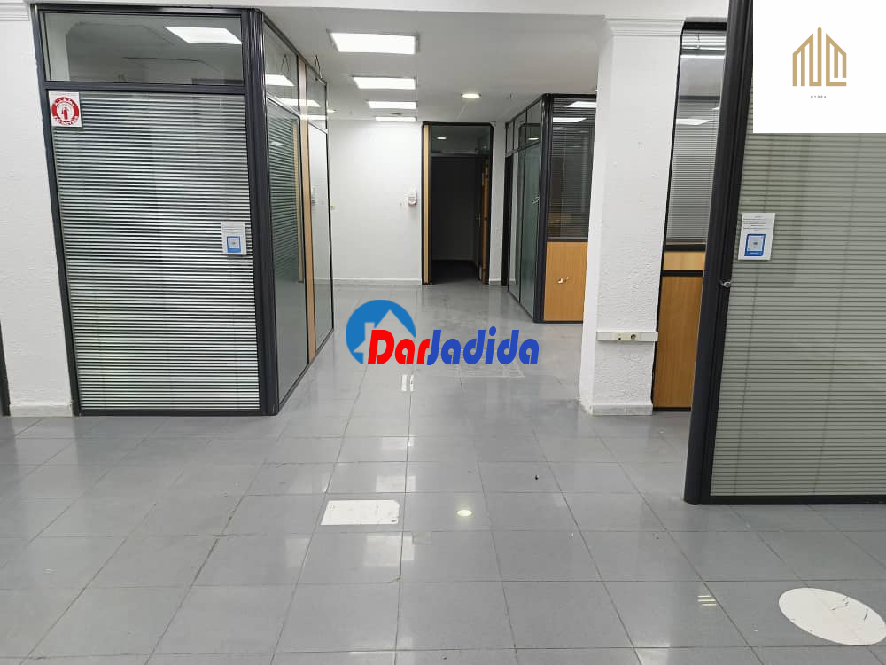 Location Local  Alger