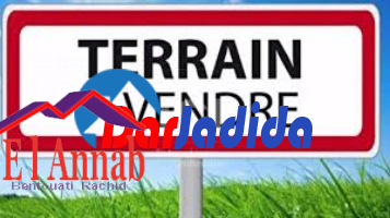 Vente Terrain  Annaba