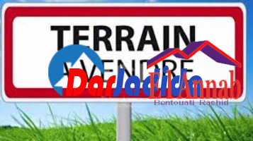 Vente Terrain  El-tarf