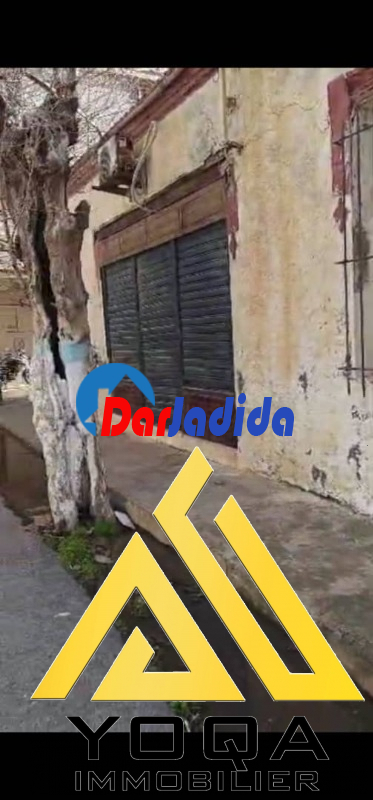 Vente Terrain  Tipaza