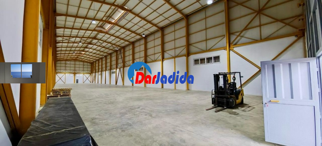 Location Hangar  Blida