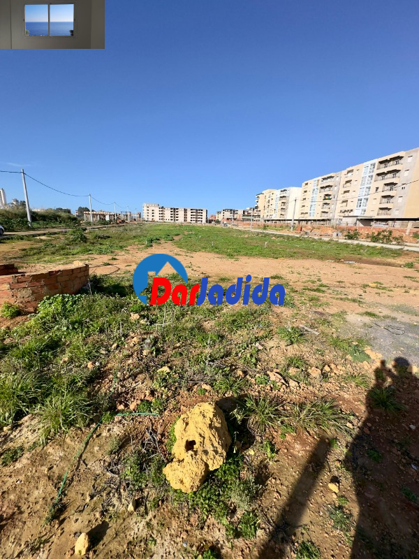 Vente Terrain  Tipaza