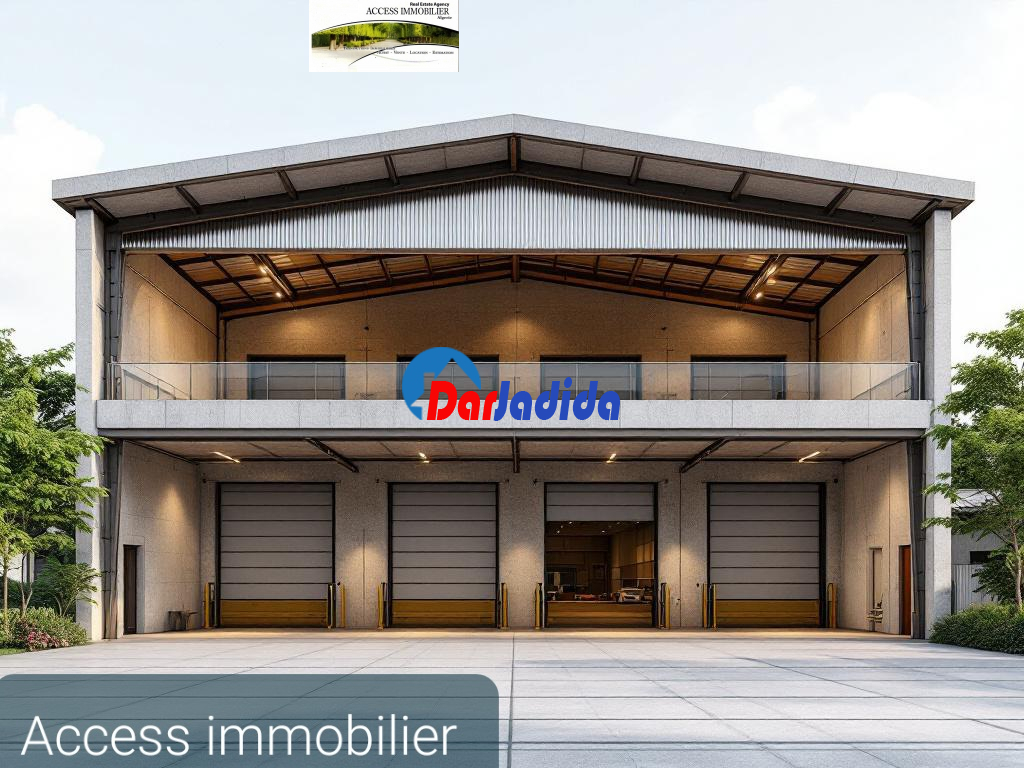 Location Local  Alger