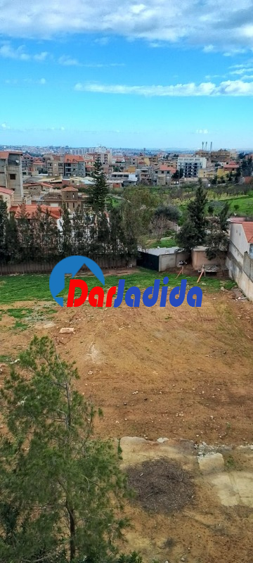Vente Terrain  Alger