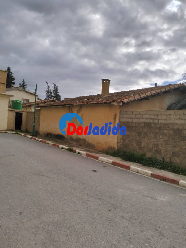 Vente Terrain  Bouira