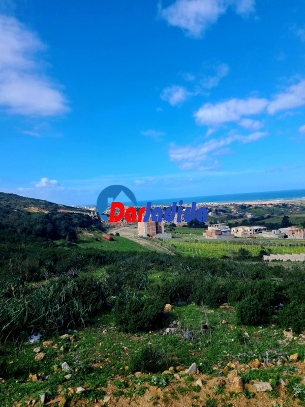 Vente Terrain  Boumerdes