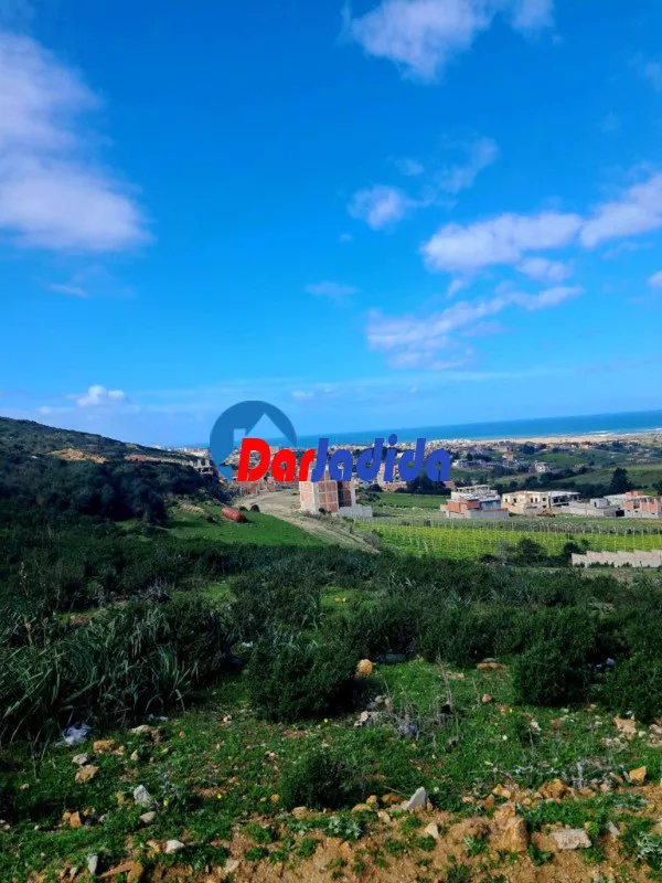 Vente Terrain  Boumerdes