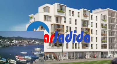 Prospection Terrain  Alger