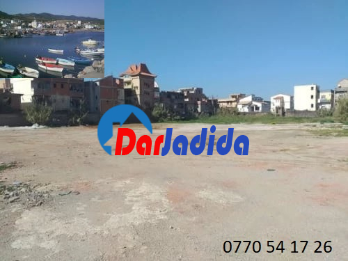 Location Terrain  Alger