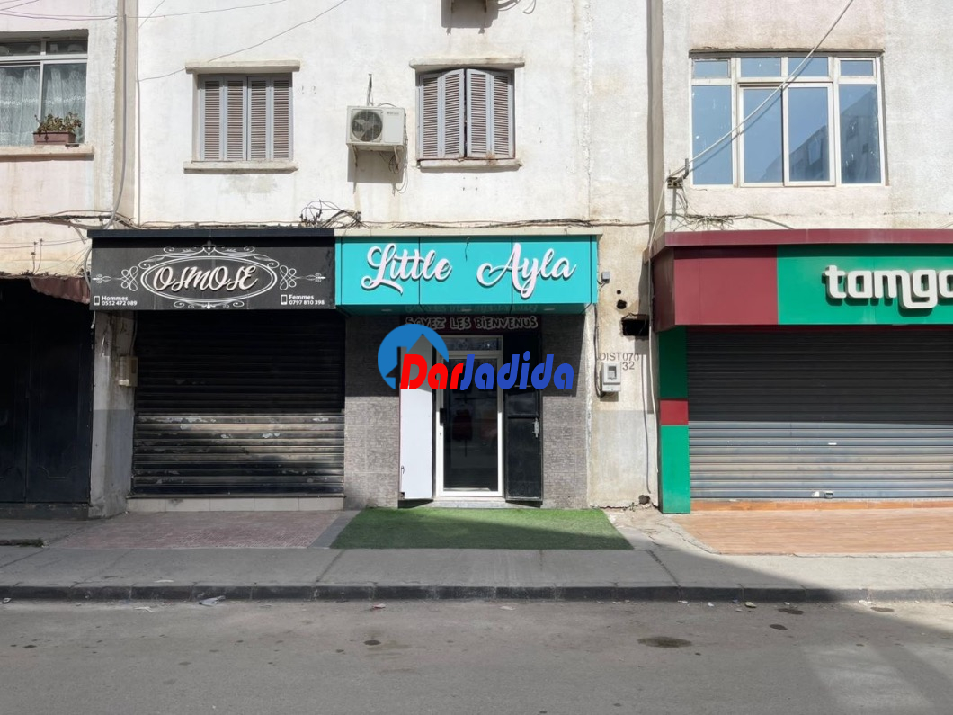 Location Local  Alger