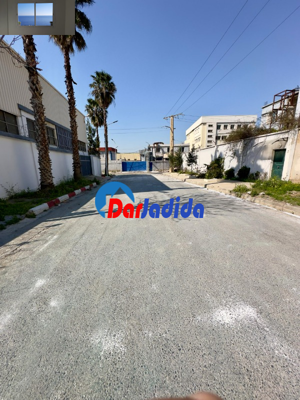 Location Hangar  Blida