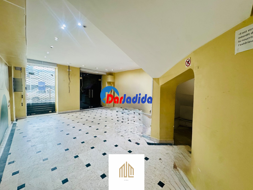 Location Local  Alger