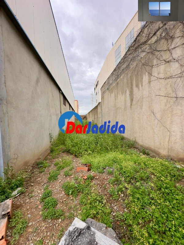 Location Hangar  Blida