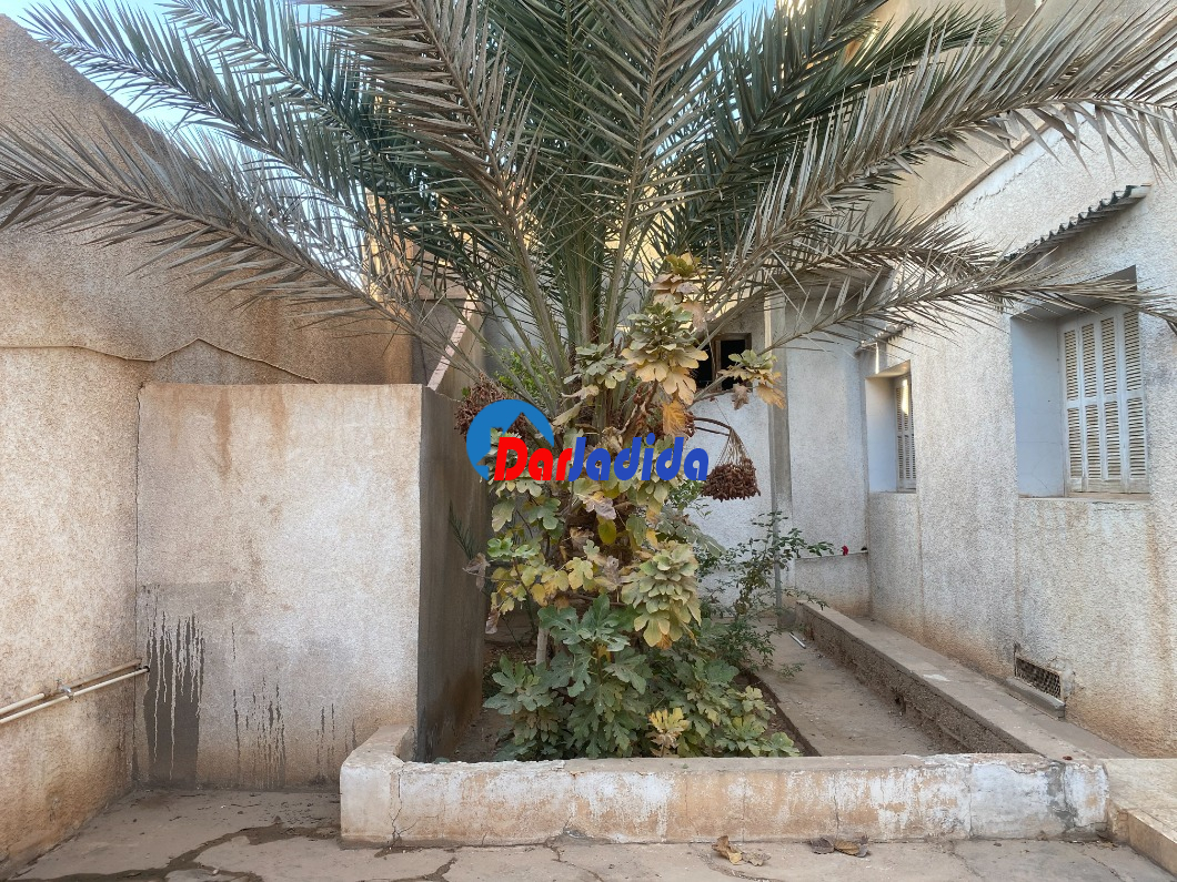 Location Villa  Biskra