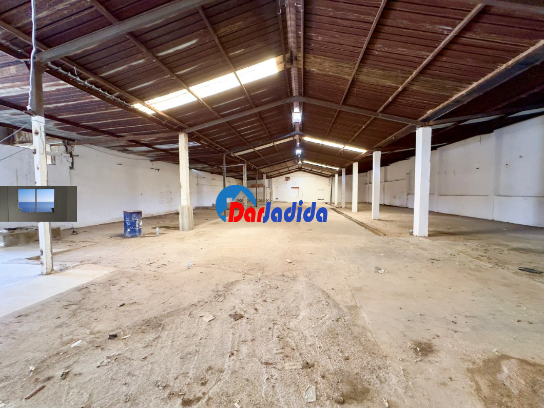 Location Hangar  Alger