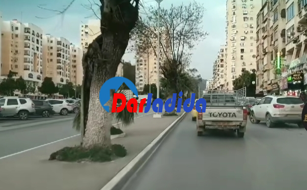 Vente Local  Annaba