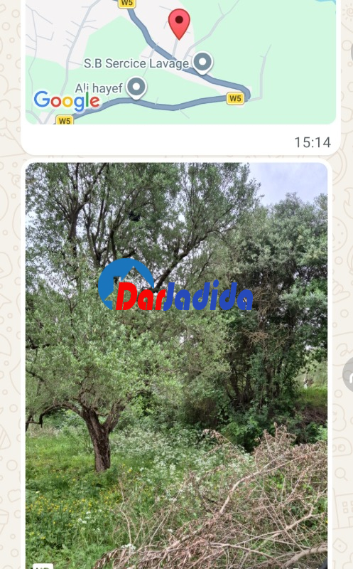 Vente Terrain  Tizi-ouzou