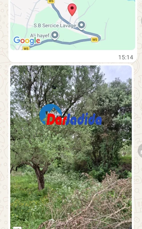 Vente Terrain  Tizi-ouzou