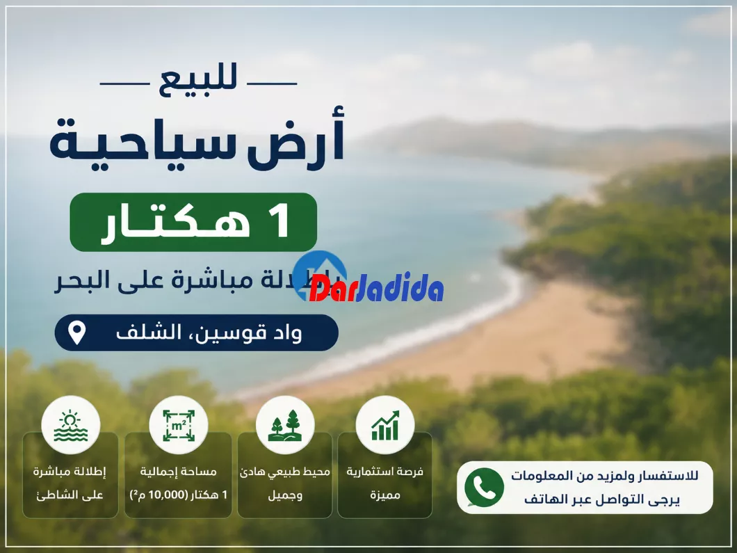 Vente Terrain  Chlef