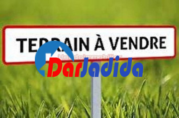 Vente Terrain  Biskra