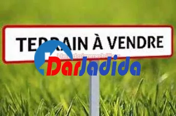 Vente Terrain  Biskra