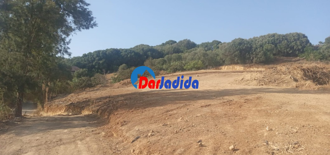 Vente Terrain  Tipaza